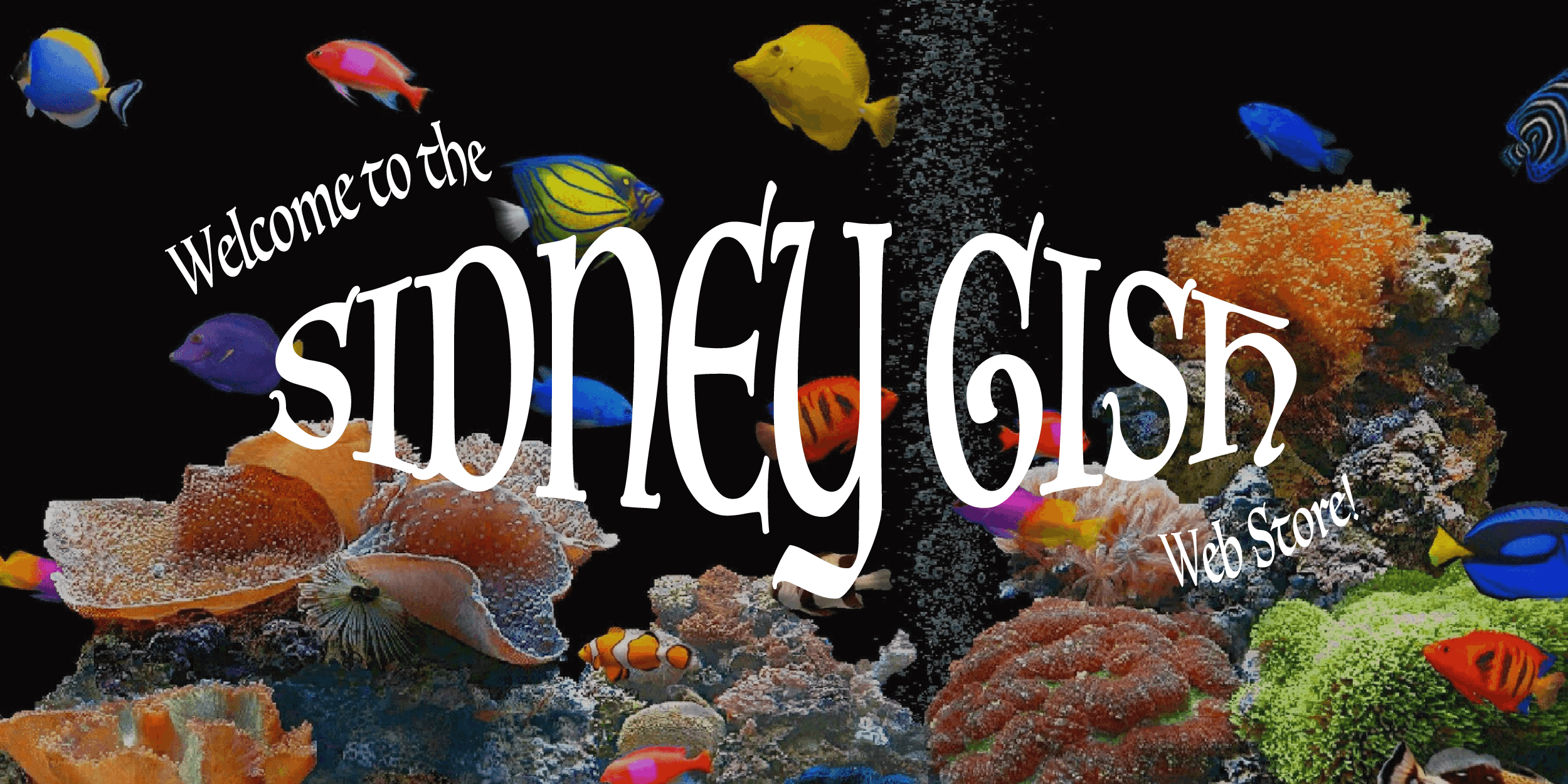 Sidney Gish Official Merch Store Hello Merch