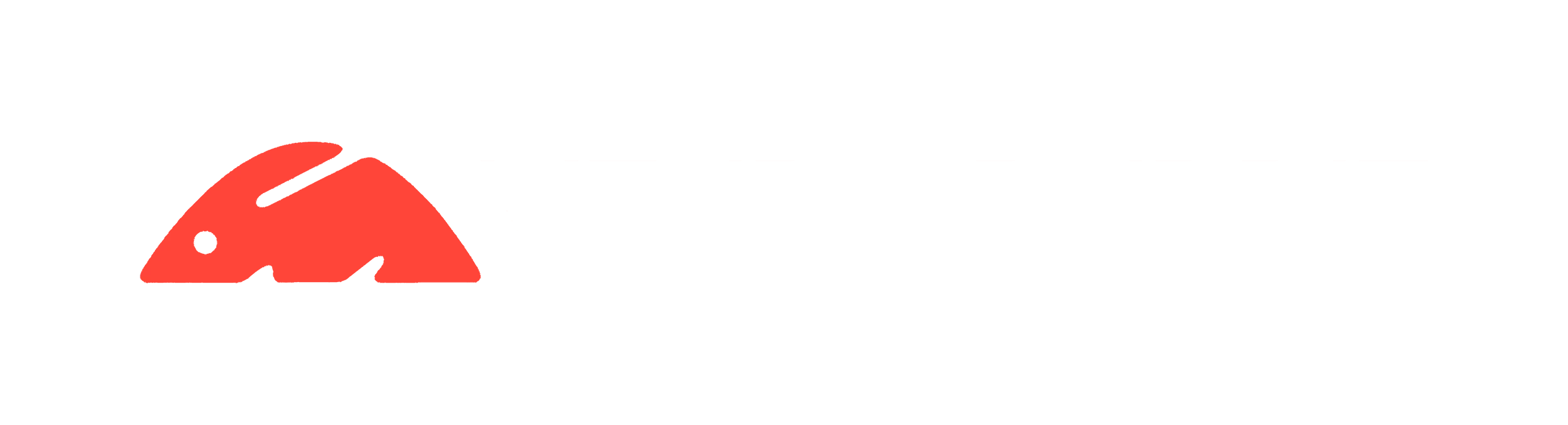 Year Of The Rabbit