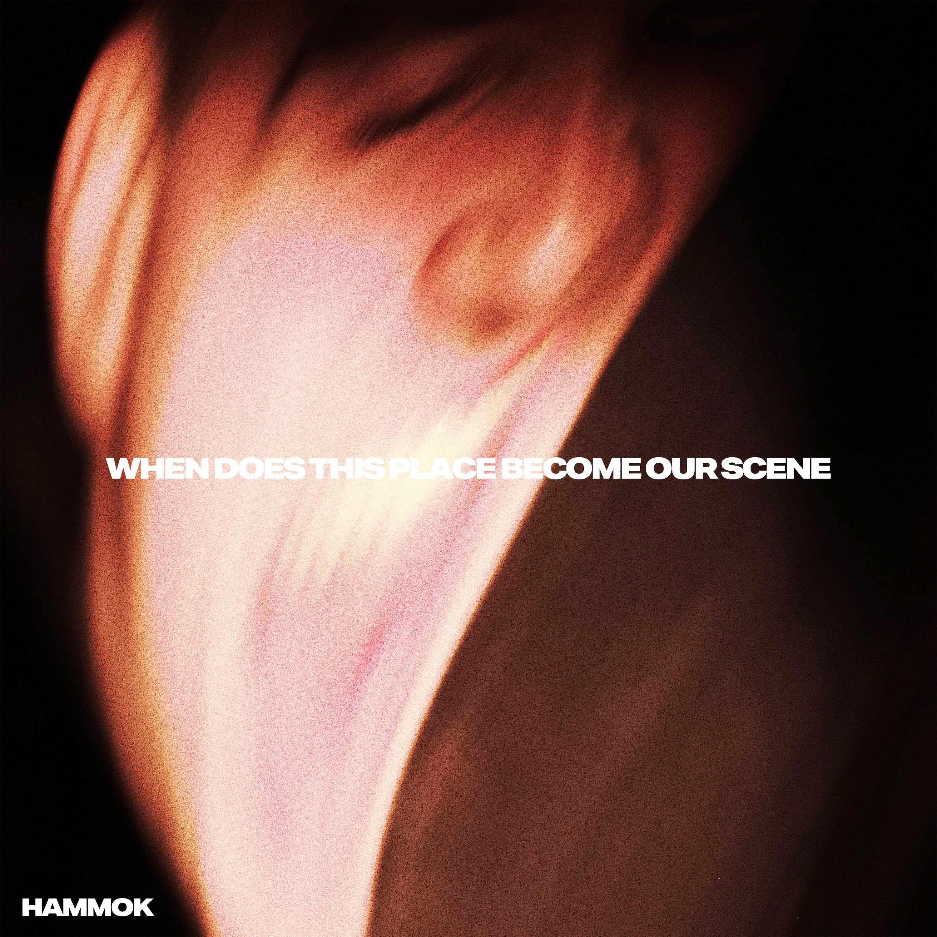 When Does This Place Become Our Scene Red & Black Vinyl