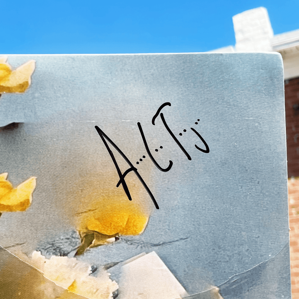 Stellar Evolution 12" Black Signed Vinyl