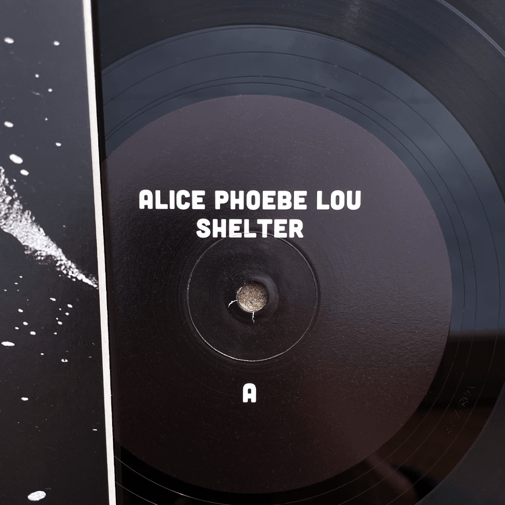 Black Vinyl LP - Shelter - Signed (Limited Quantity)