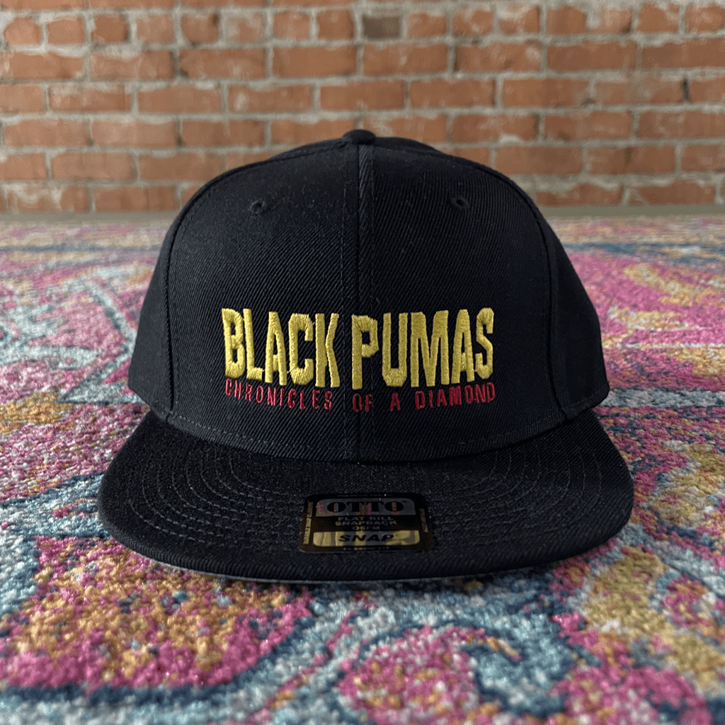 Chronicles of a Diamond Snapback Hat