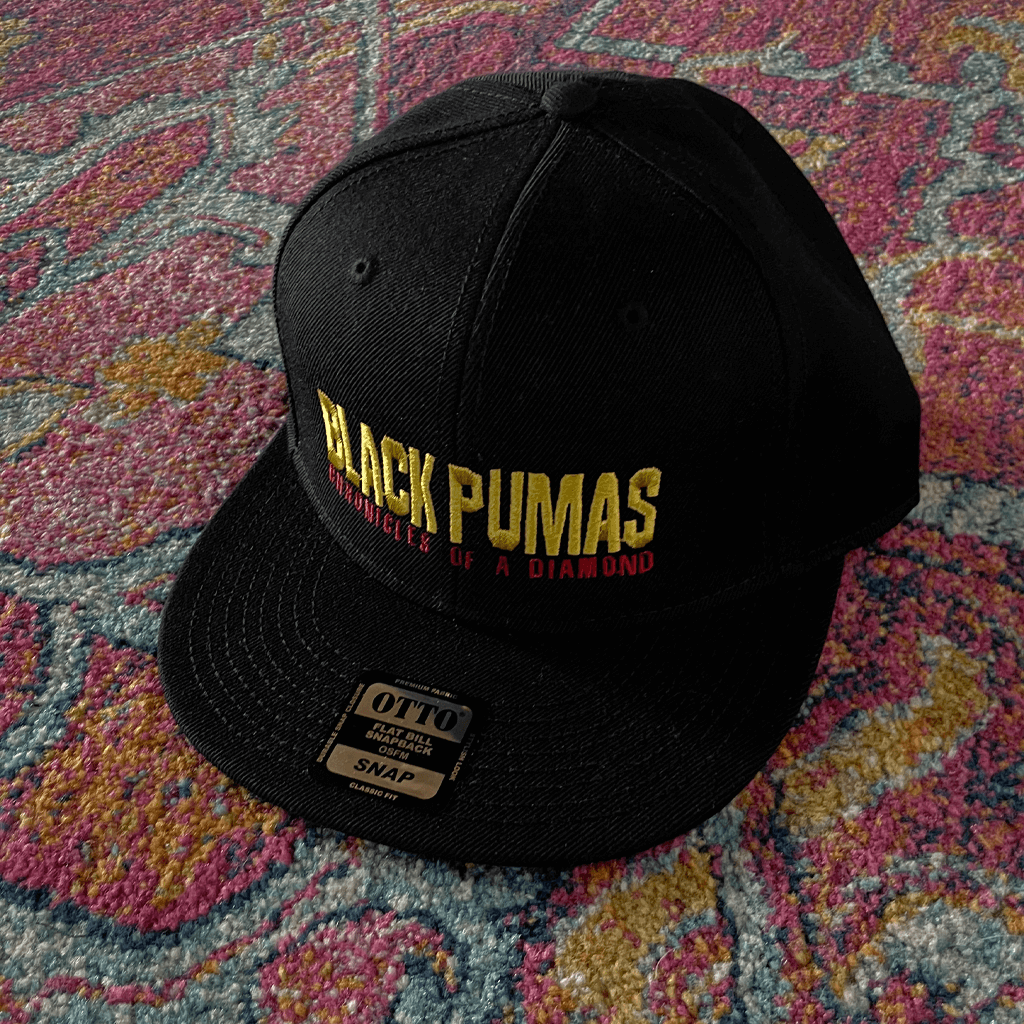 Chronicles of a Diamond Snapback Hat