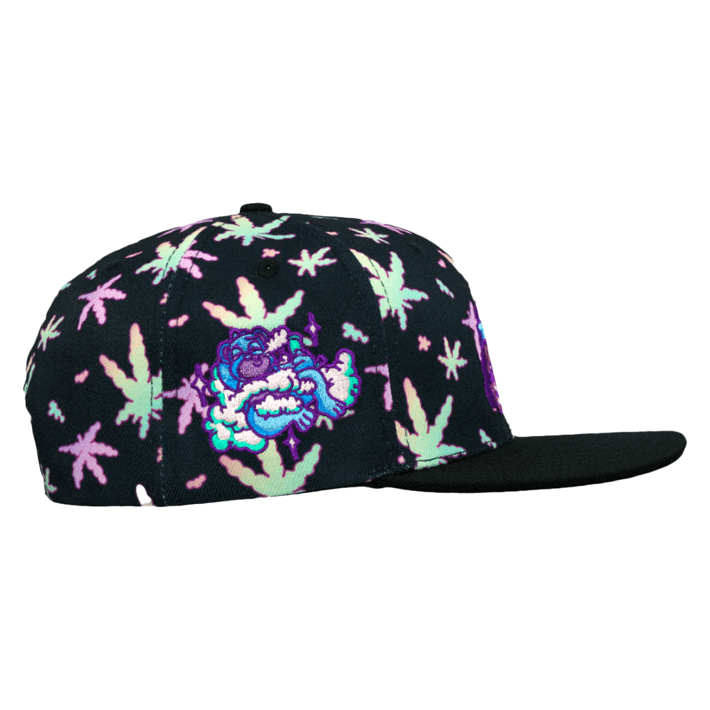 Homies In Dreamland Snapback Hat