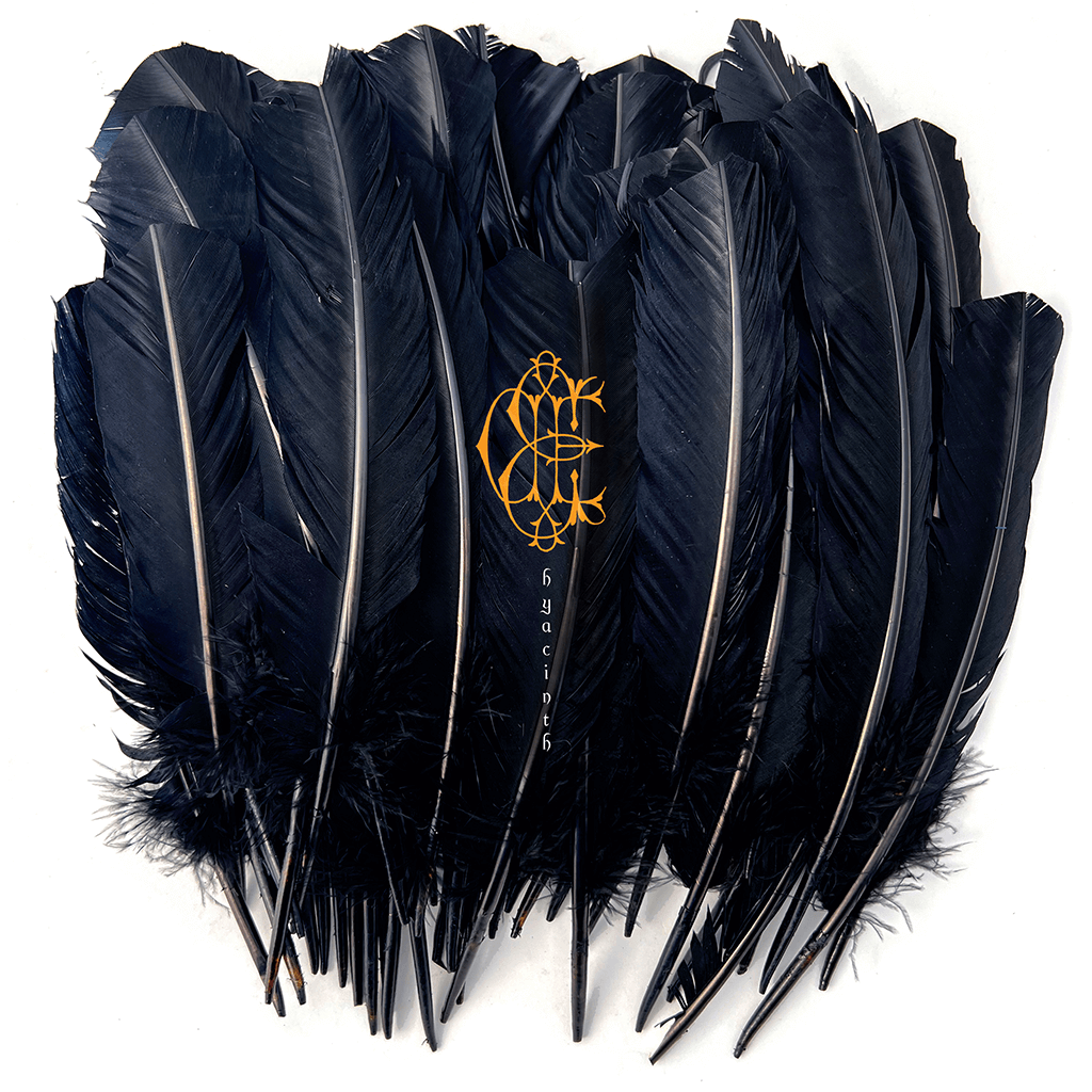 Hyacinth - 12" Cloudy Green Vinyl