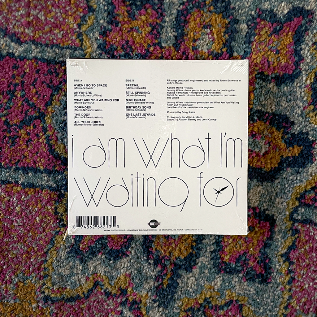 I Am What I’m Waiting For CD