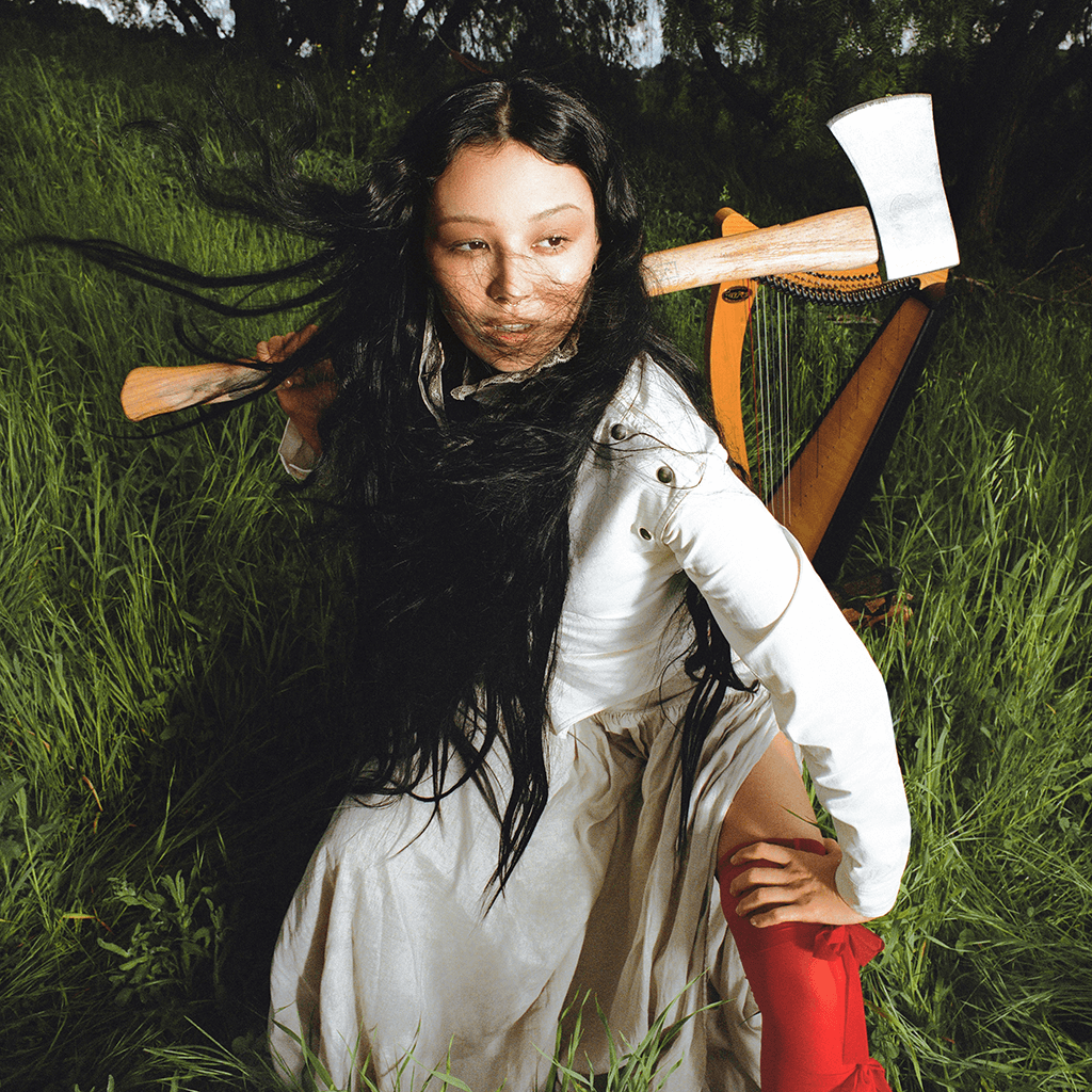 When a Thought Grows Wings CD