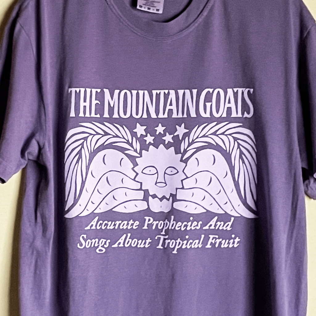 Accurate Prophecies Purple T-Shirt
