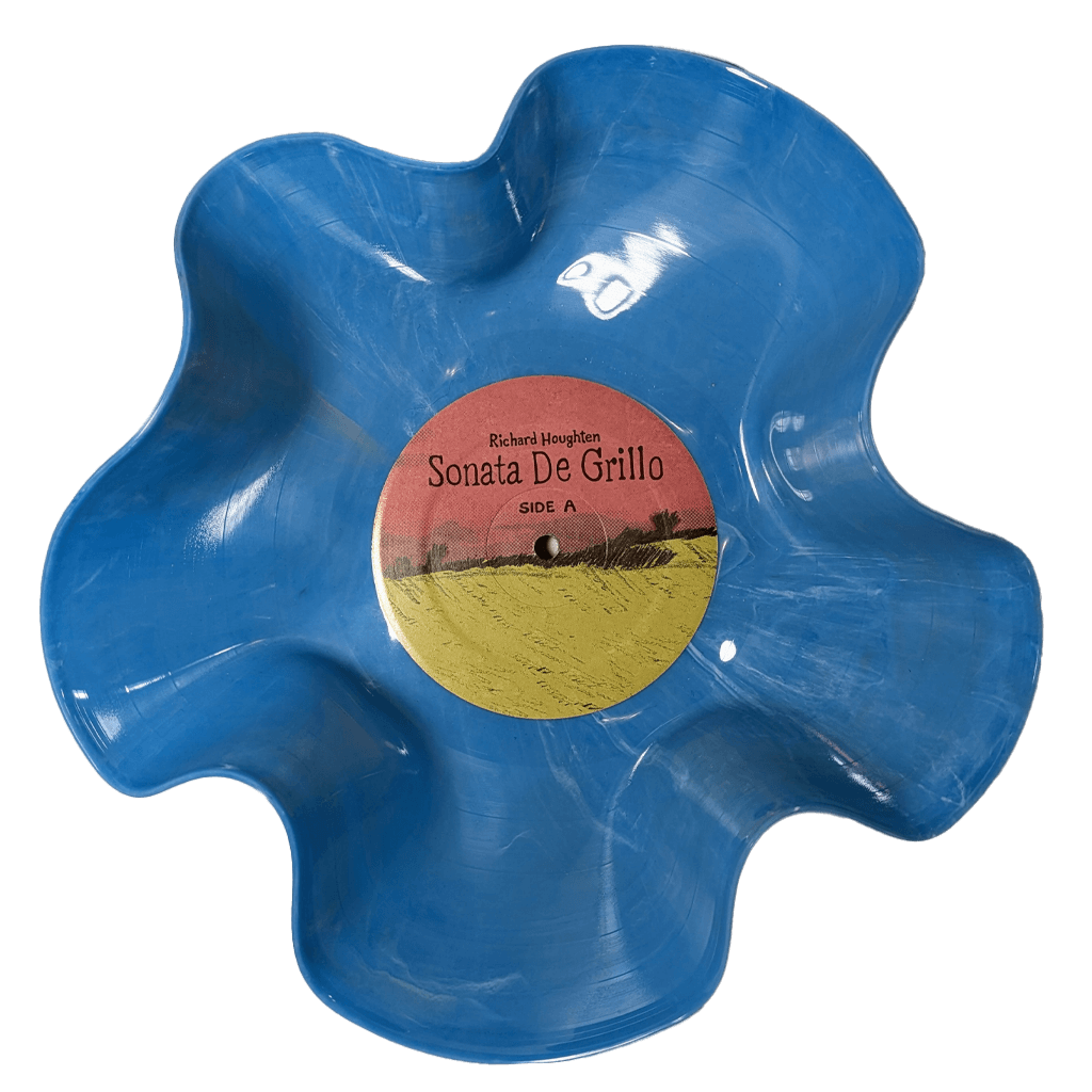 SlyVinyl Mystery Record Bowl