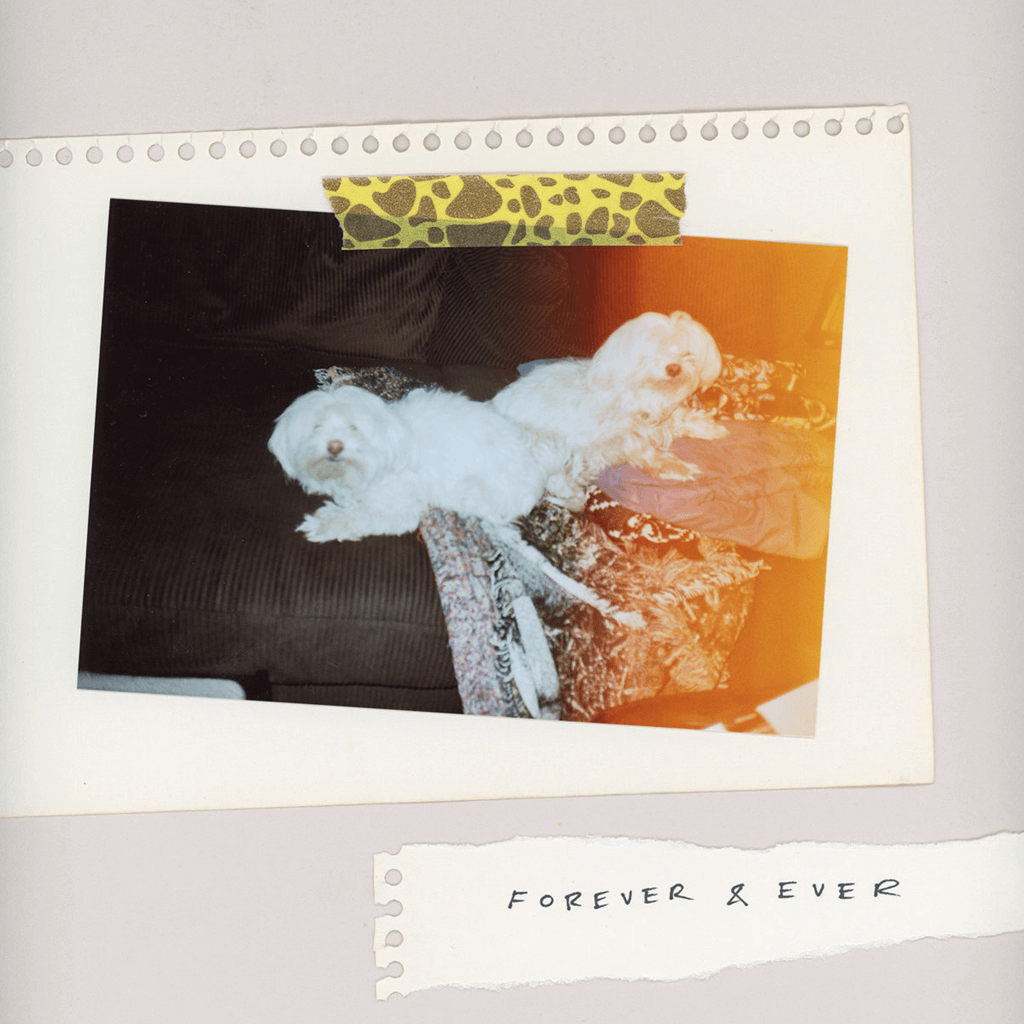 Forever & Ever - 12" Crystal Clear Vinyl