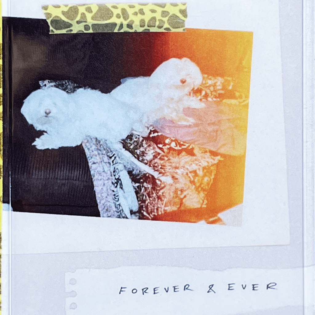 Forever & Ever - Cassette Tape