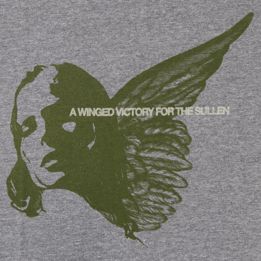 Angel Grey Triblend T-Shirt
