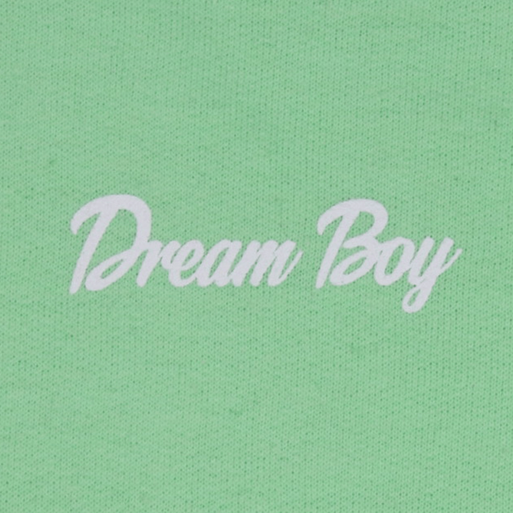 Dream Boy Mint Hoodie