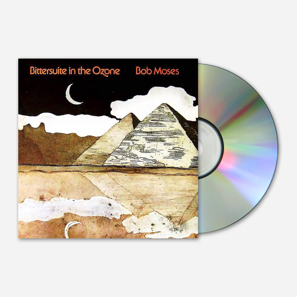 邦楽 dustbox / Treasures In The Mosh Pit 500x500.jpg