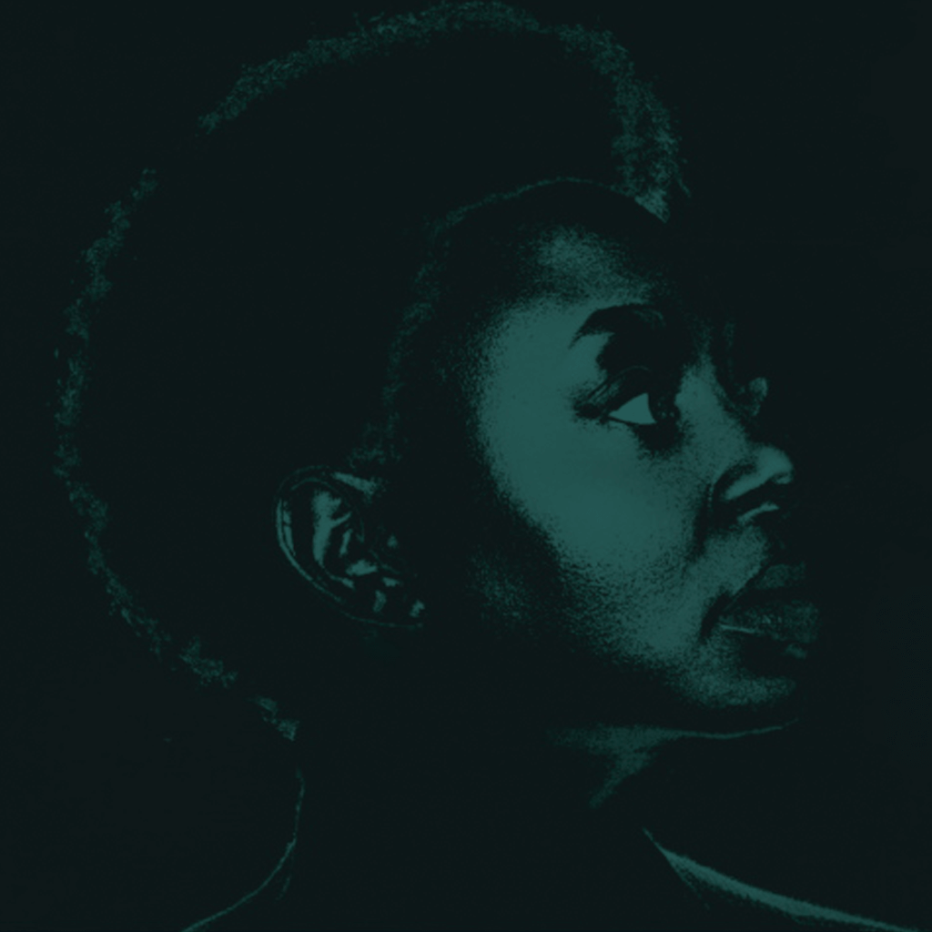 Ledisi Sings Nina CD