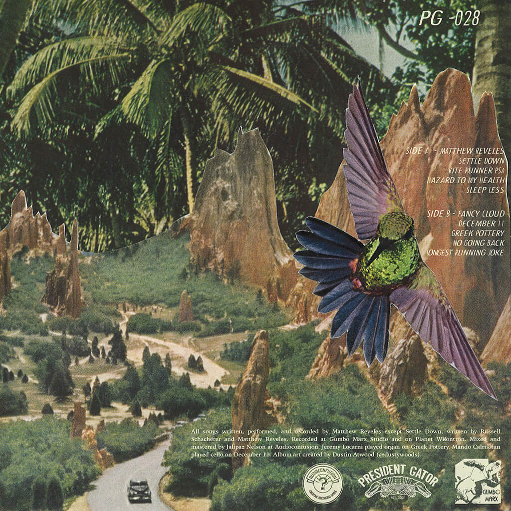 Matthew Reveles / Fancy Cloud 12" LP