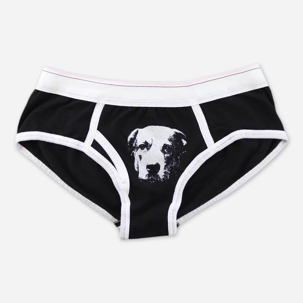 Dog Underwear