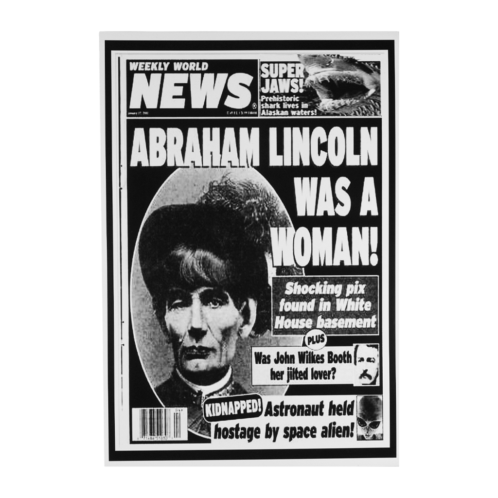 Abraham Lincoln Was A Woman! Poster