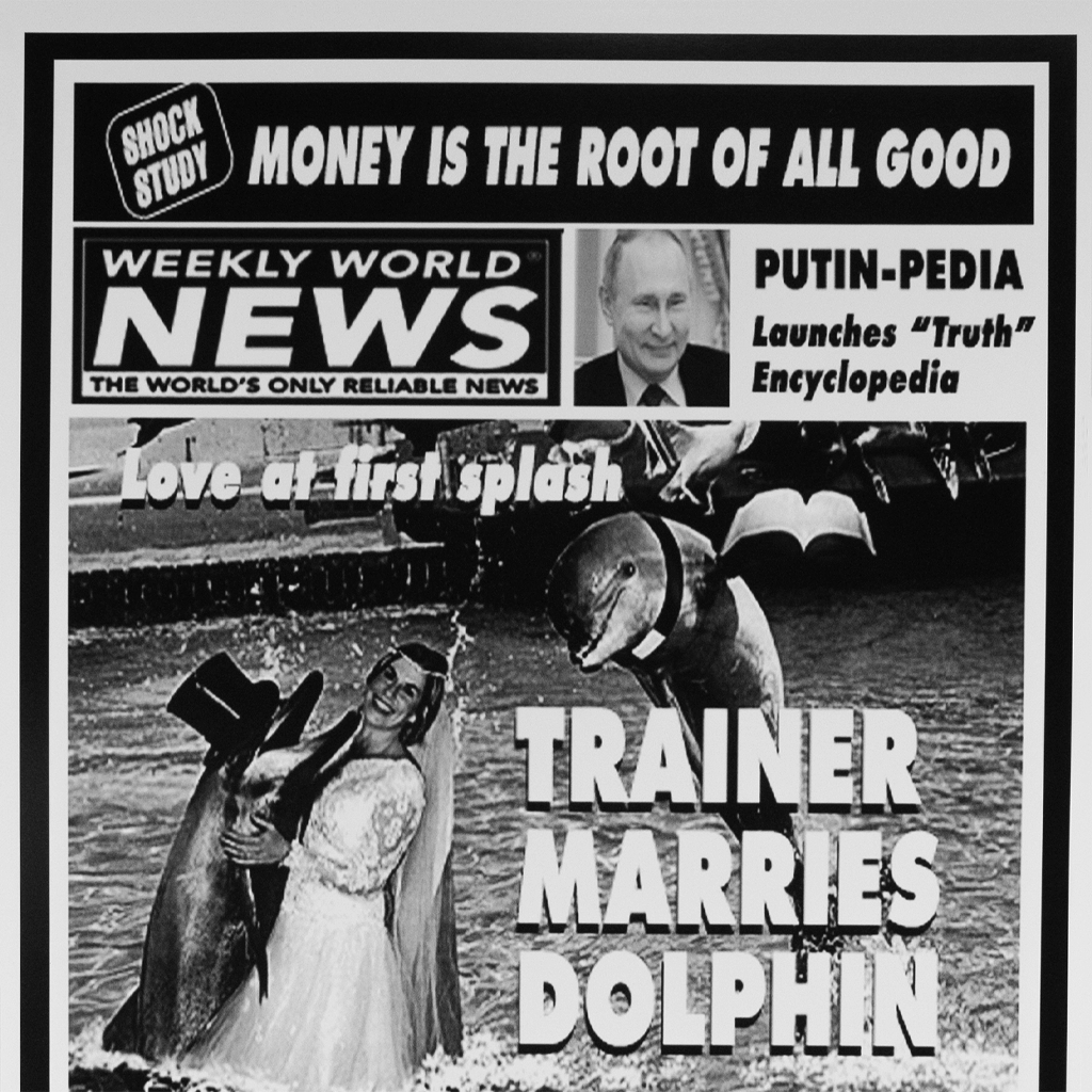 Trainer Marries Dolphin Poster