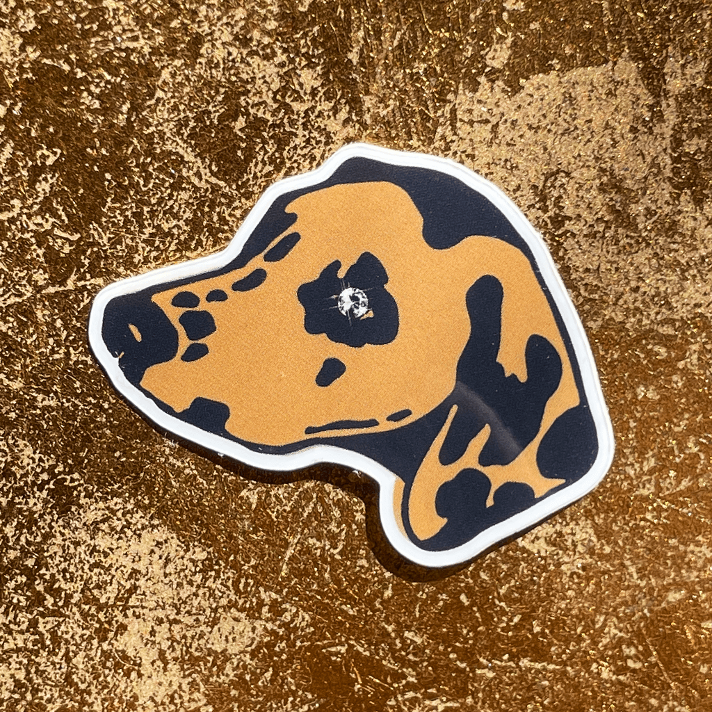 Chronicles of a Diamond Sticker Set