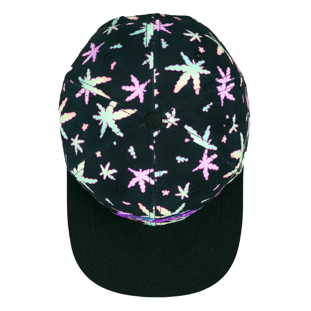 Homies In Dreamland Snapback Hat