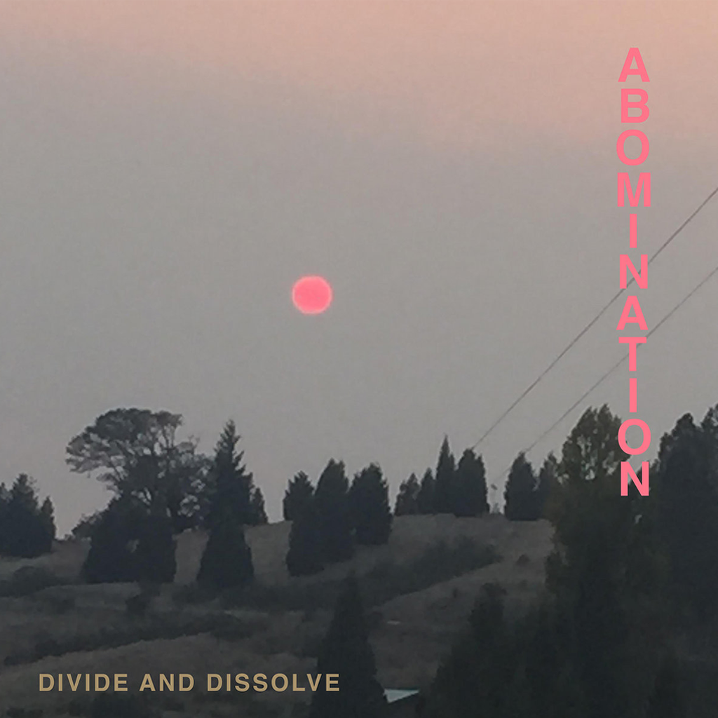 Divide & Dissolve - Abomination 12" Black  Vinyl
