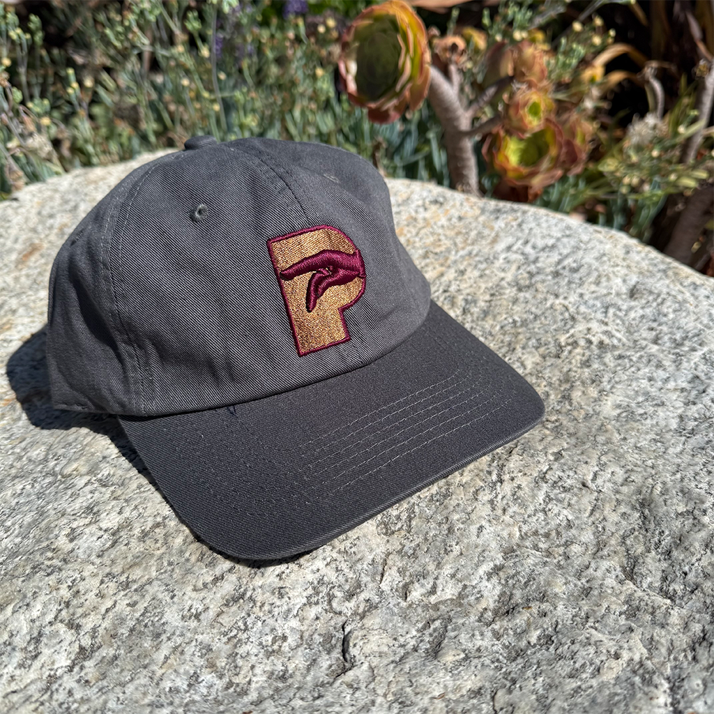 P Logo Hat Fall 2025