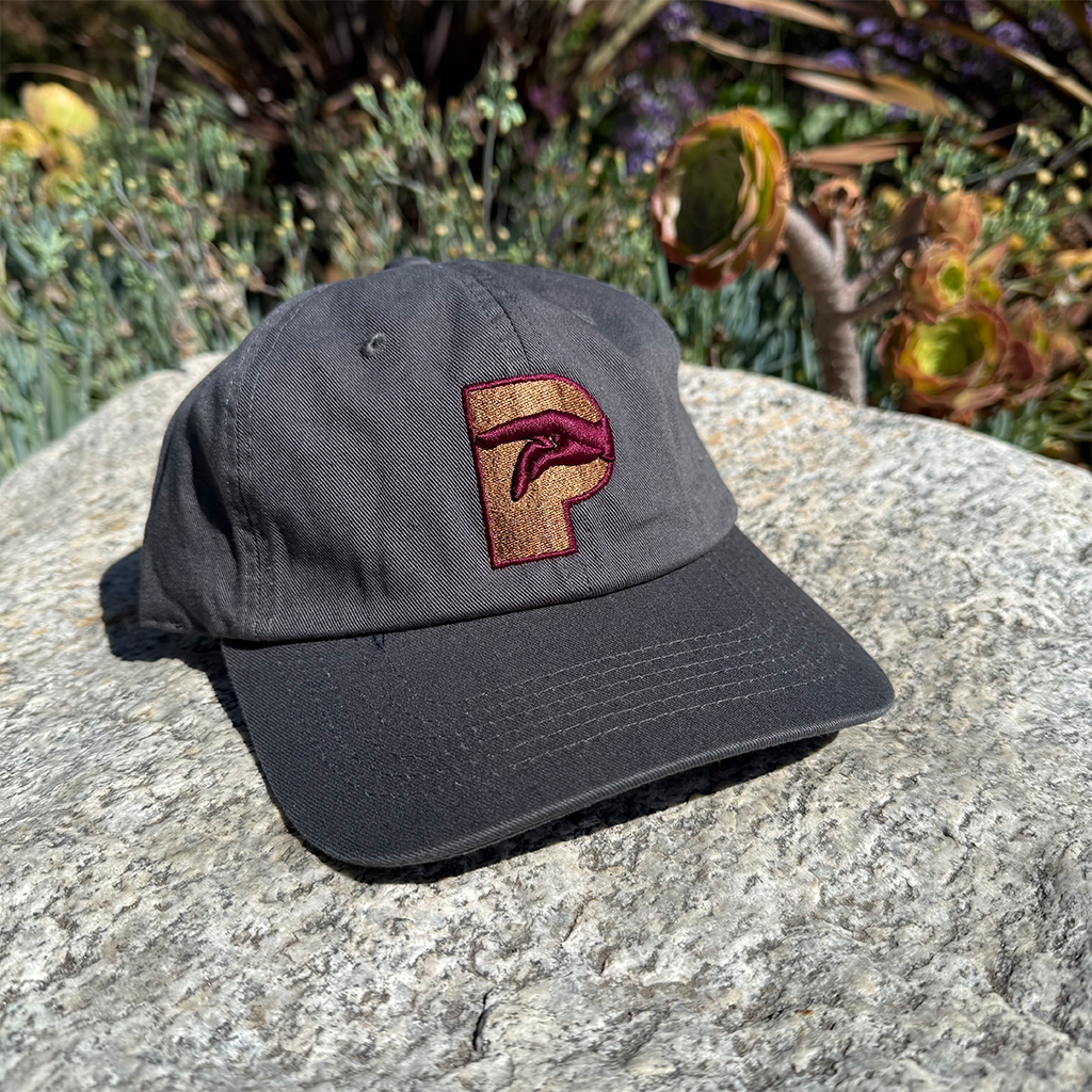 P Logo Hat Fall 2025