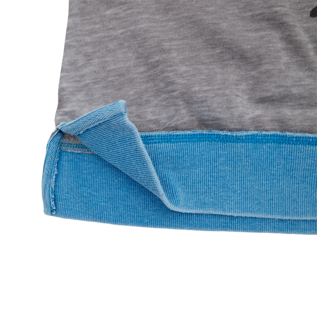 Science Boy Blue & Grey Women's Raglan
