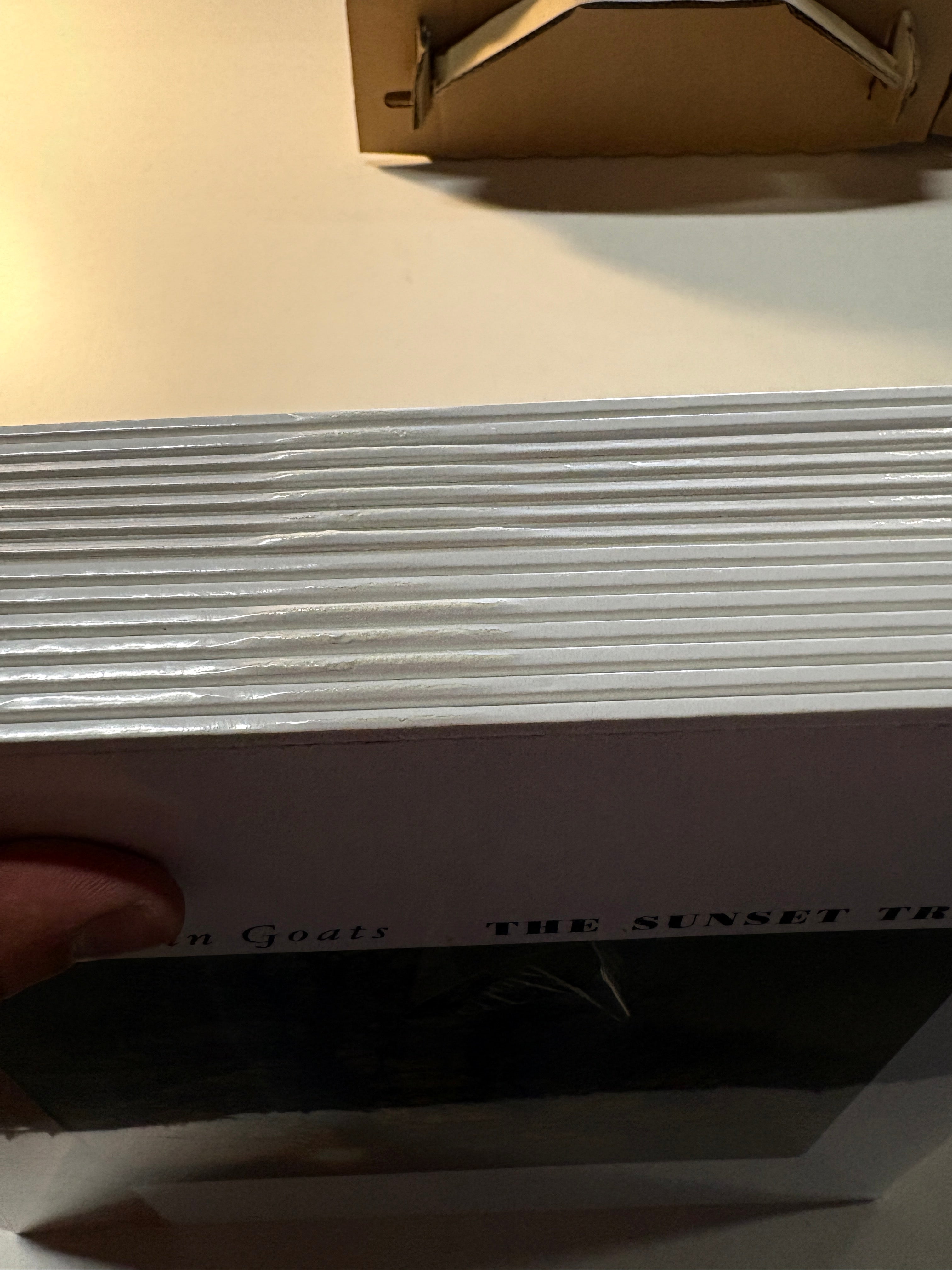 Road Damaged Vinyl - The Sunset Tree 20th Anniversary Edition