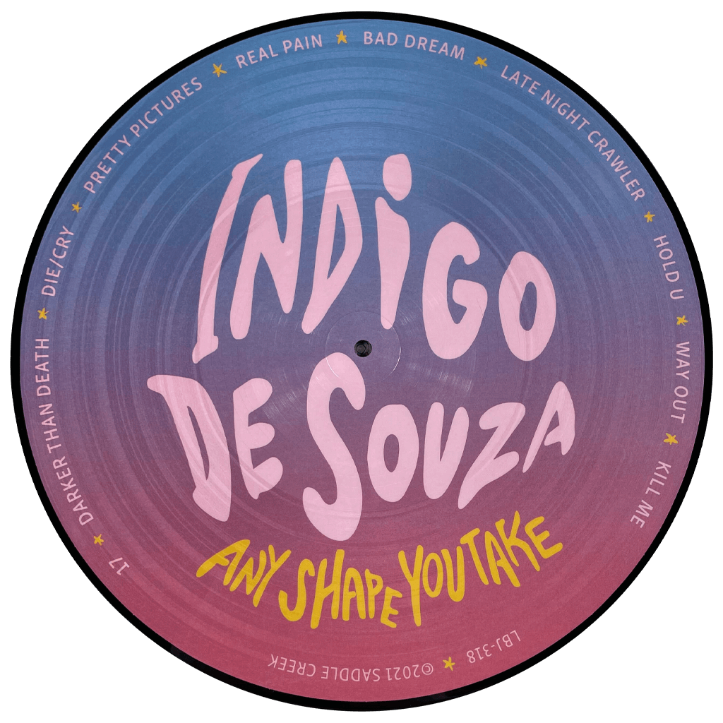 Any Shape You Take Picture Disc Vinyl