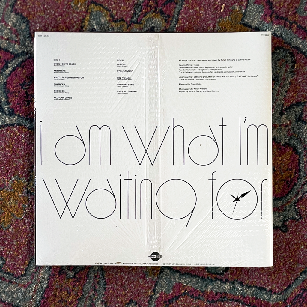 I Am What I’m Waiting For Black Vinyl