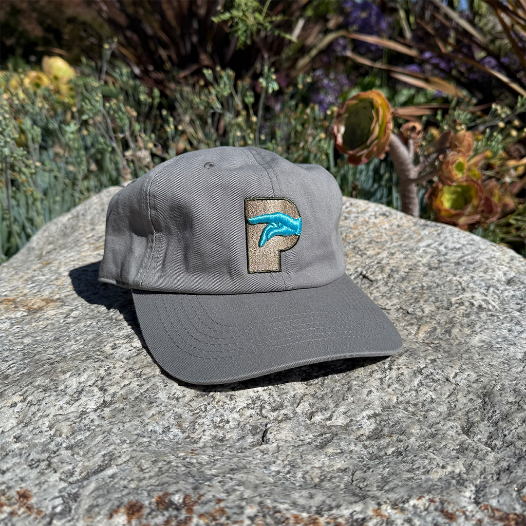 P Logo Hat Fall 2025