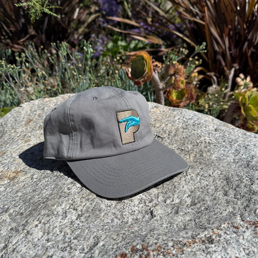 P Logo Hat Fall 2025