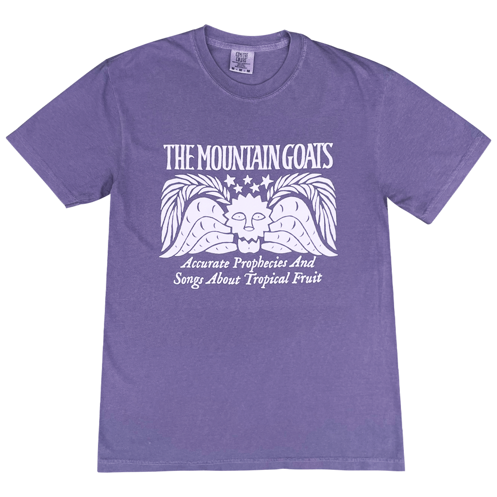 Accurate Prophecies Purple T-Shirt