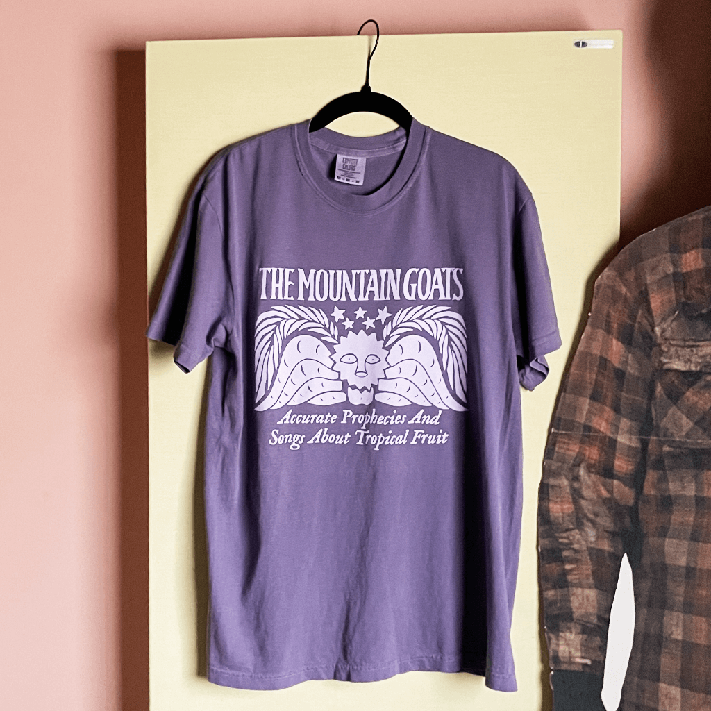 Accurate Prophecies Purple T-Shirt