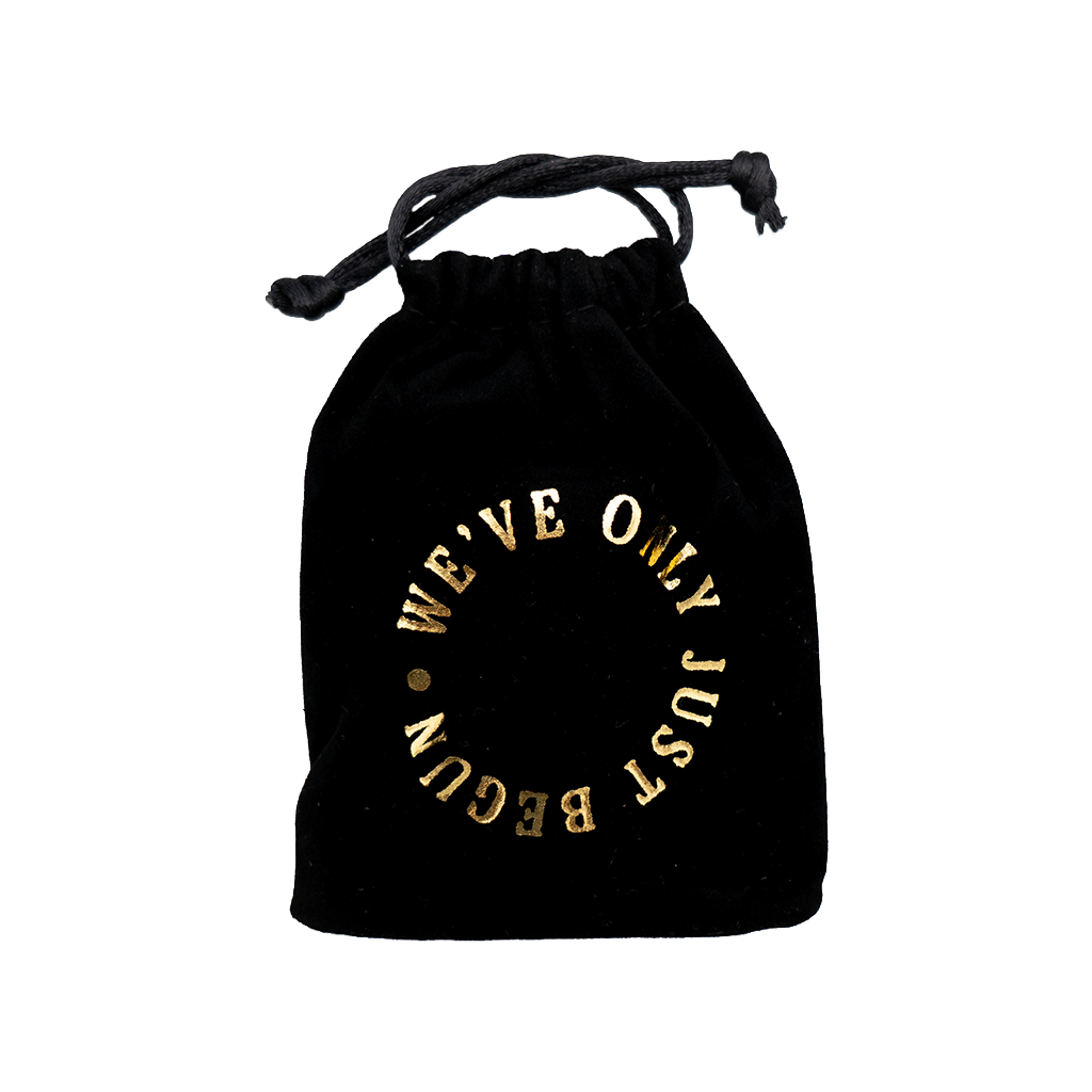 We've Only Just Begun Copper Coin