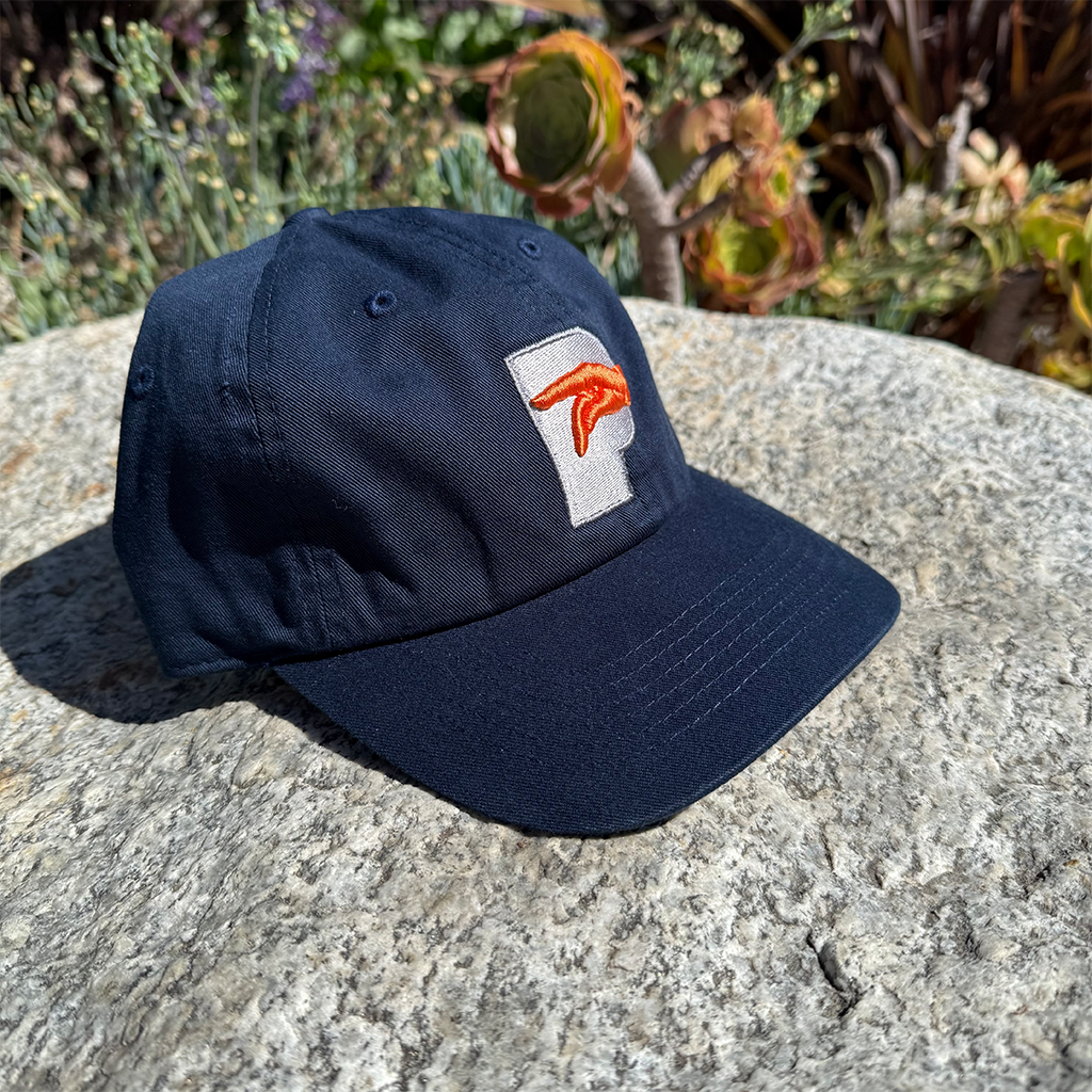 P Logo Hat Fall 2025