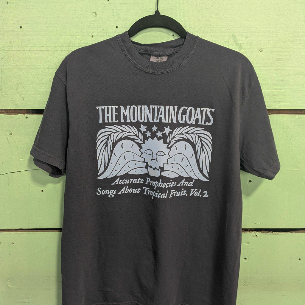 Accurate Prophecies II Navy T-Shirt