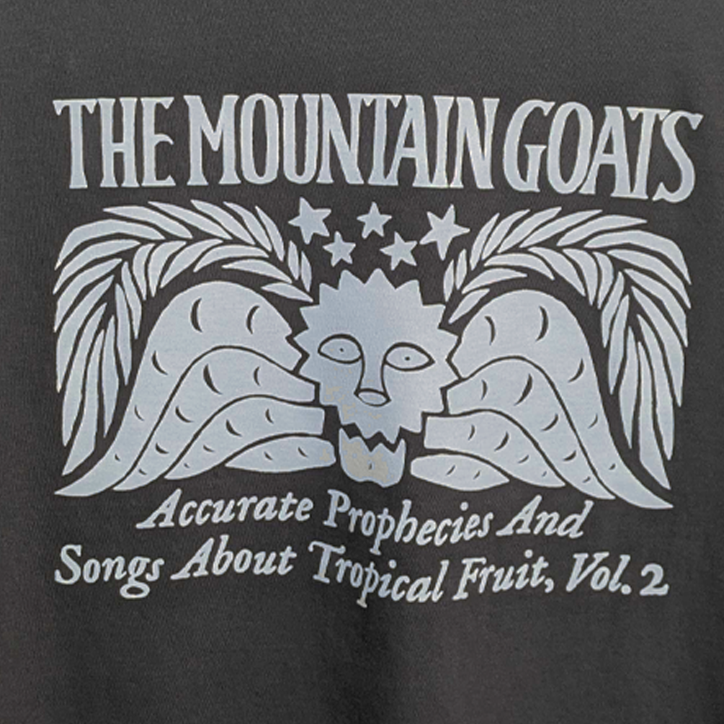 Accurate Prophecies II Navy T-Shirt