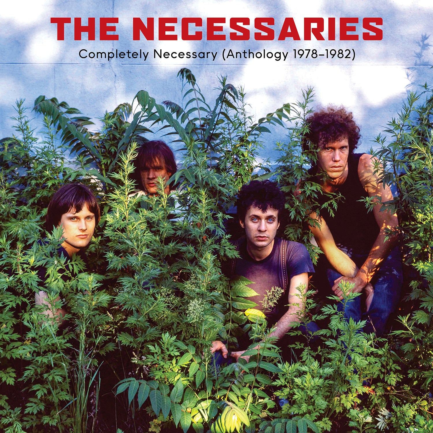 The Necessaries – Completely Necessary (Anthology 1978-1982)