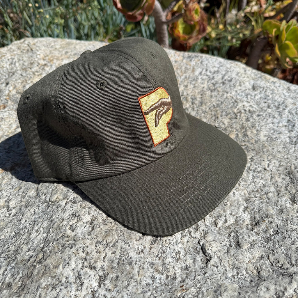 P Logo Hat Fall 2025