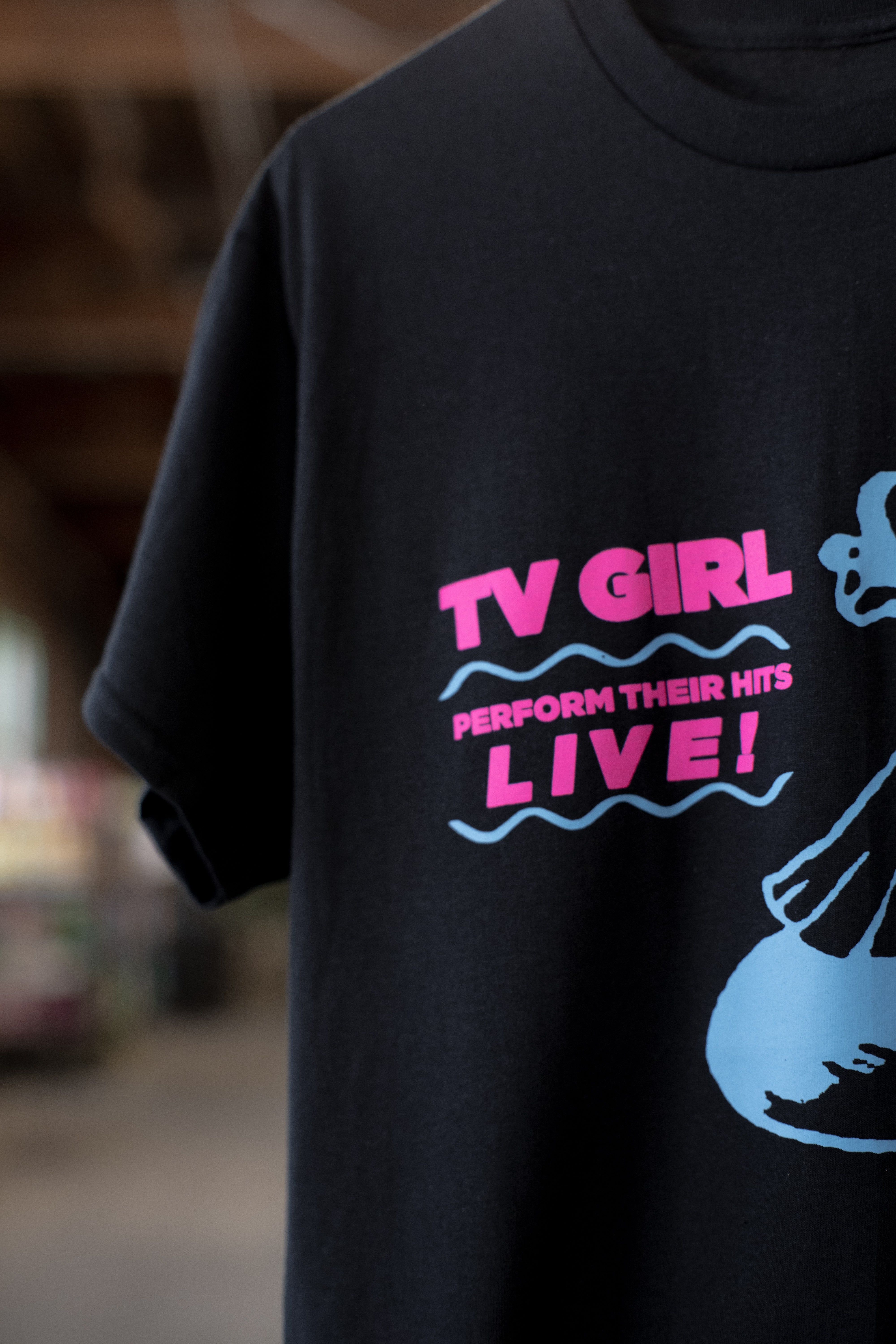 Perform Their Hits Live! 2026 Tour T-Shirt