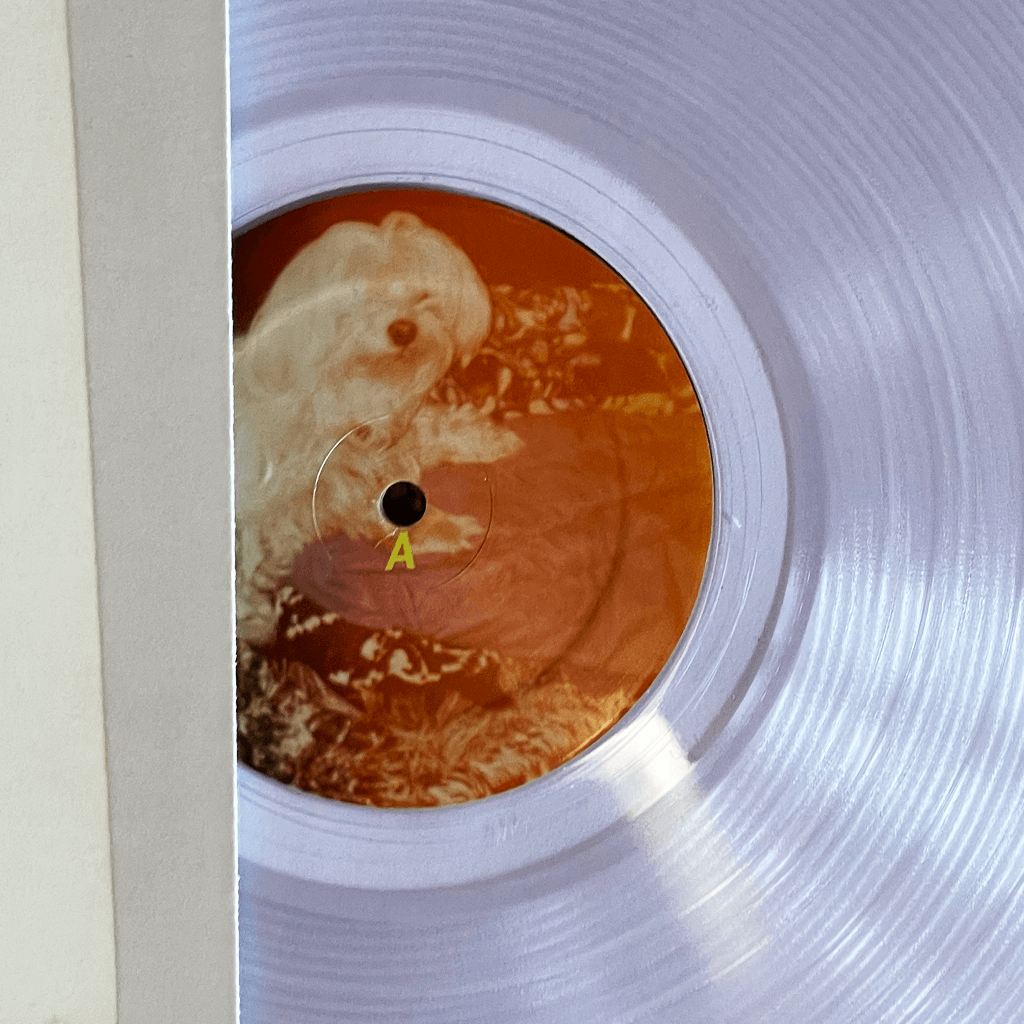 Forever & Ever - 12" Crystal Clear Vinyl