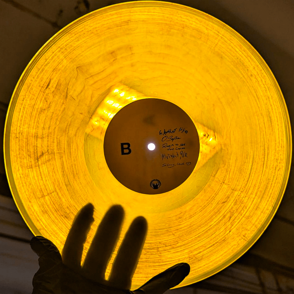SUNSTRIKES Vinyl