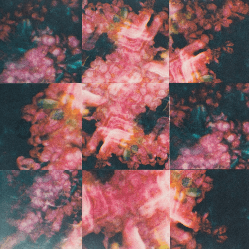 Prism - 12" Marble Swirl Vinyl