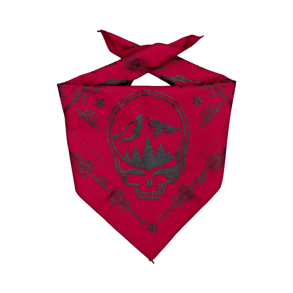 Stealy Bandana