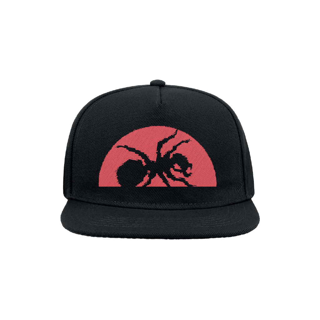 The Prodigy - Hat