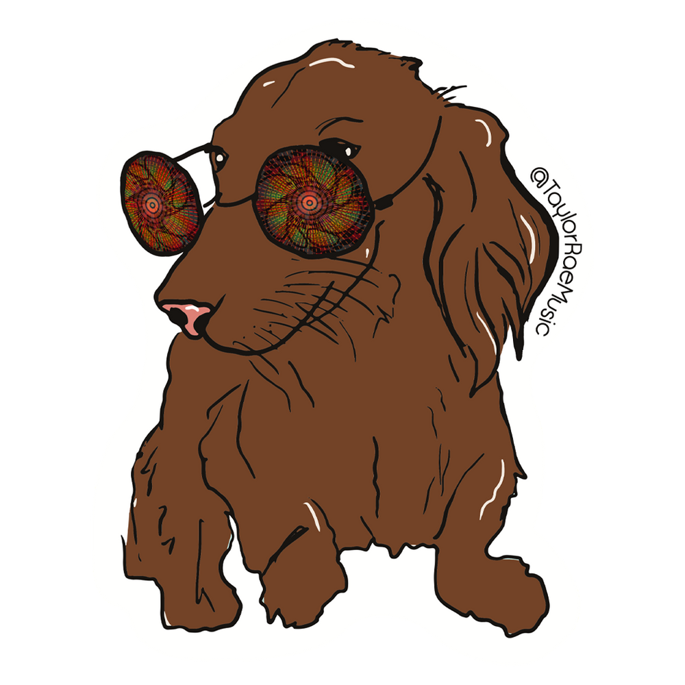 Taylor Rae - Trippy Dog Sticker