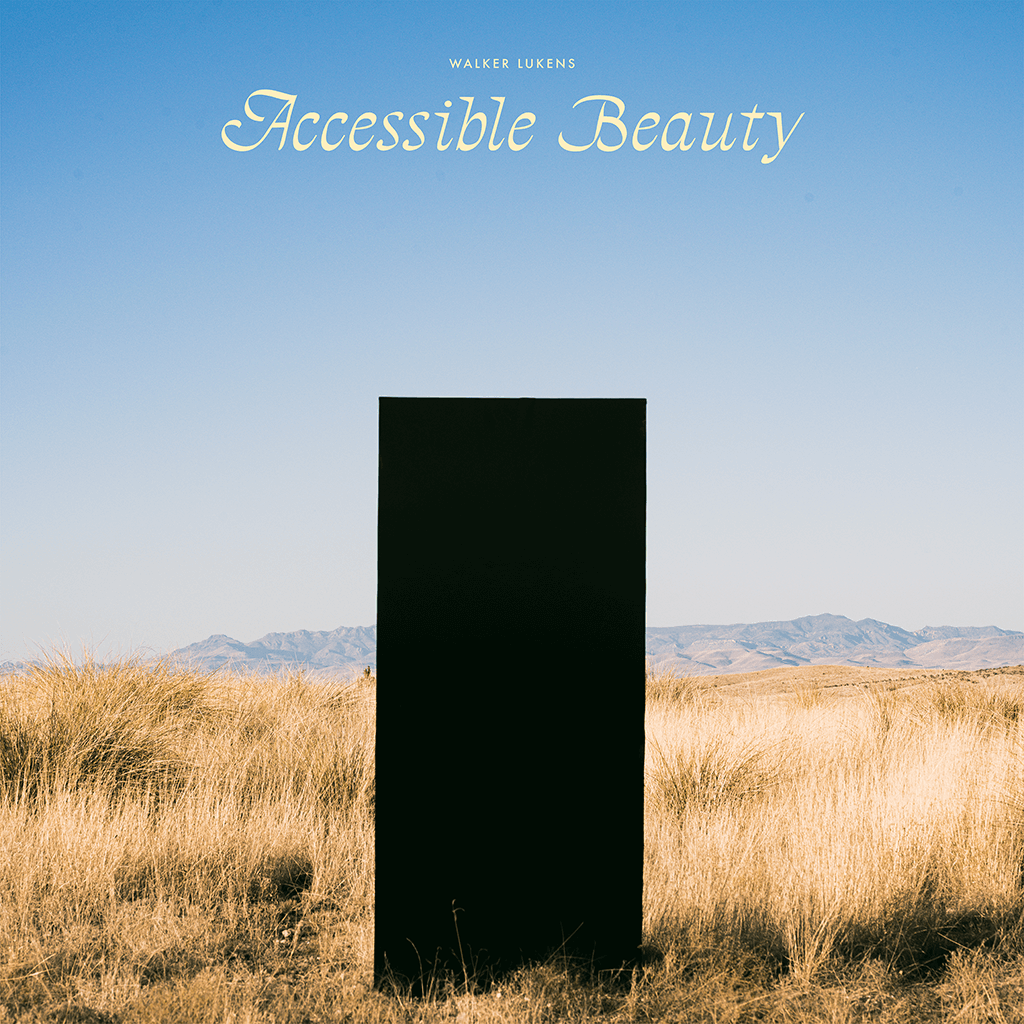 Accessible Beauty - 12" Black Vinyl